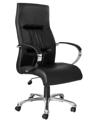 Chair Salvador H